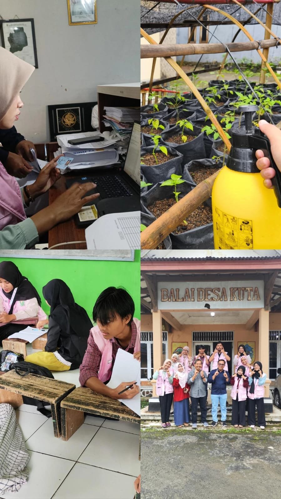 KKN DAY30-Piket desa, kunjungan DPL, bimbel, TPQ, pemupukan dan penyiangan