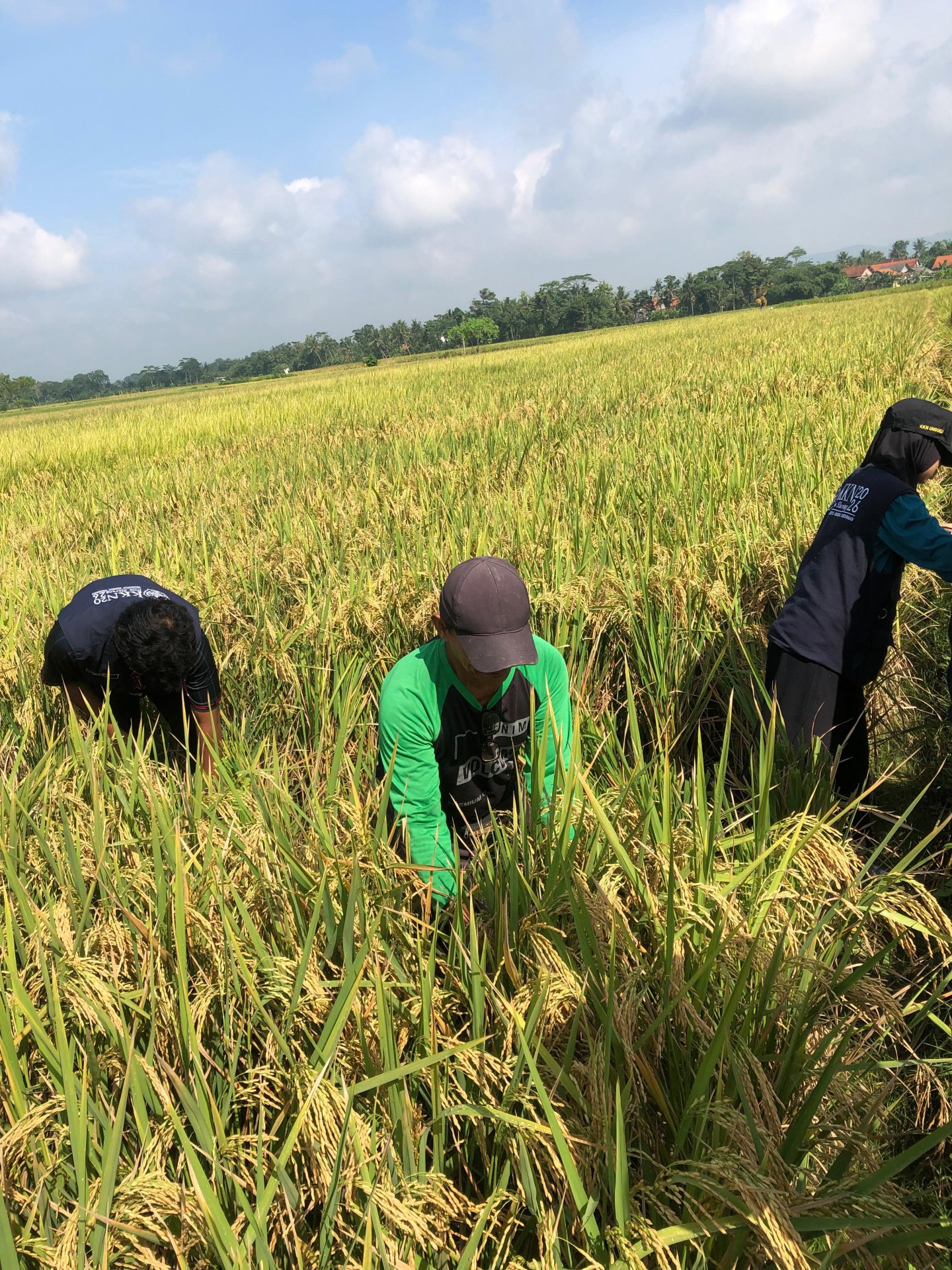 DAY 30 KKN DESA SLARANG, KEC. KESUGIHAN, KAB. CILACAP