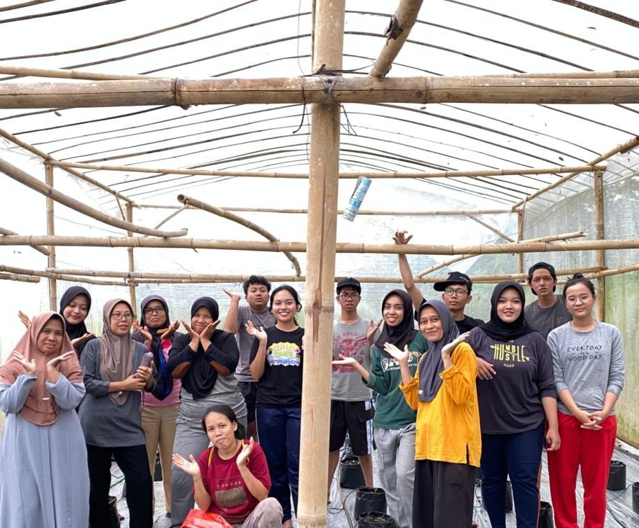 DAY 31 KKN - PENGAPLIKASIAN INSEKTISIDA DAN PEMUPUKAN KEDUA TANAMAN PAKCOY