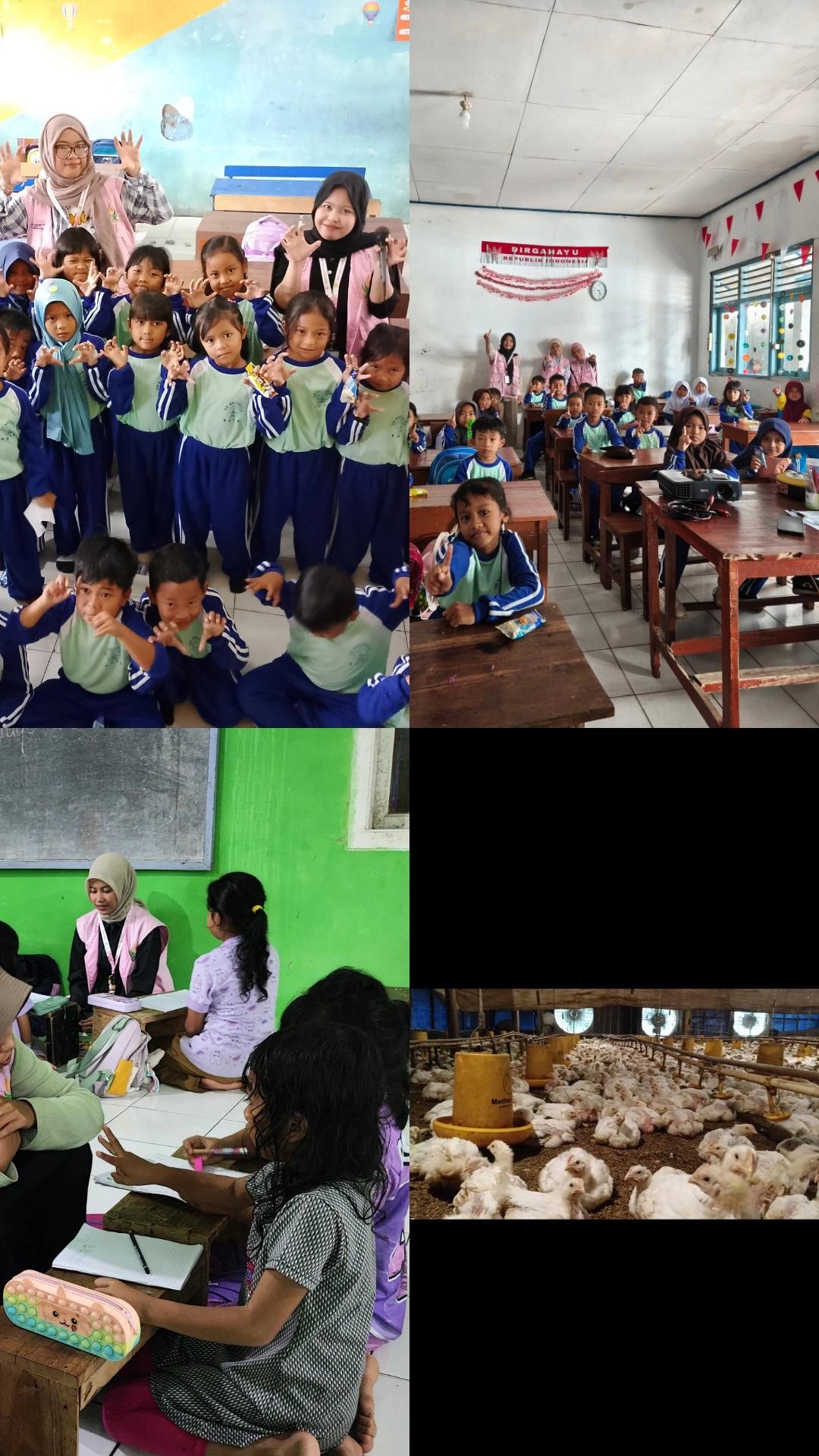 Day 31 KKN : Sosialisasi PHBS, Kunjungan ke Kandang Ayam, dan Bimbel