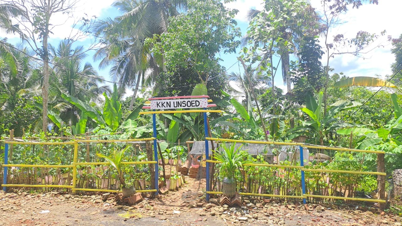 FINISHING PEMBUATAN TAMAN PEKARANGAN  dan PRESENTASI HASIL KKN