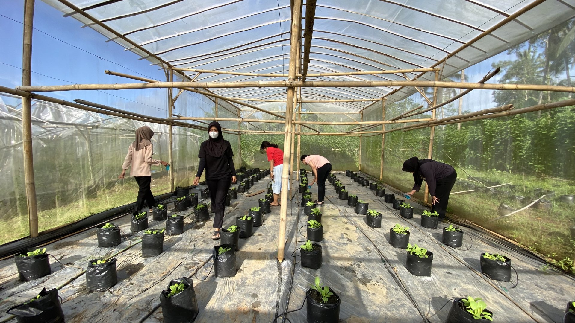 KEGIATAN KKN DESA PLANA HARI KE-31