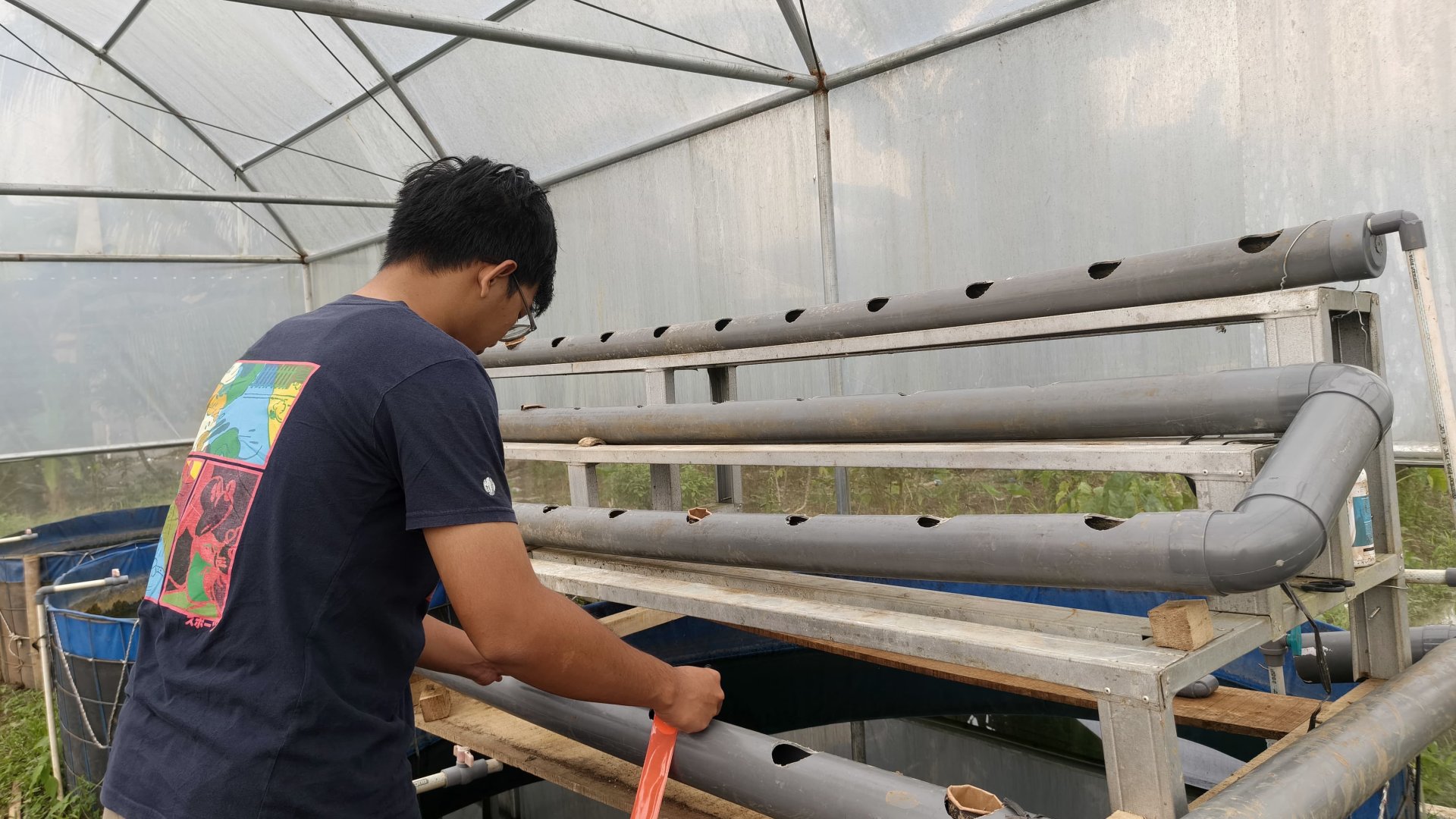 Persiapan Untuk Penanaman Akuaponik