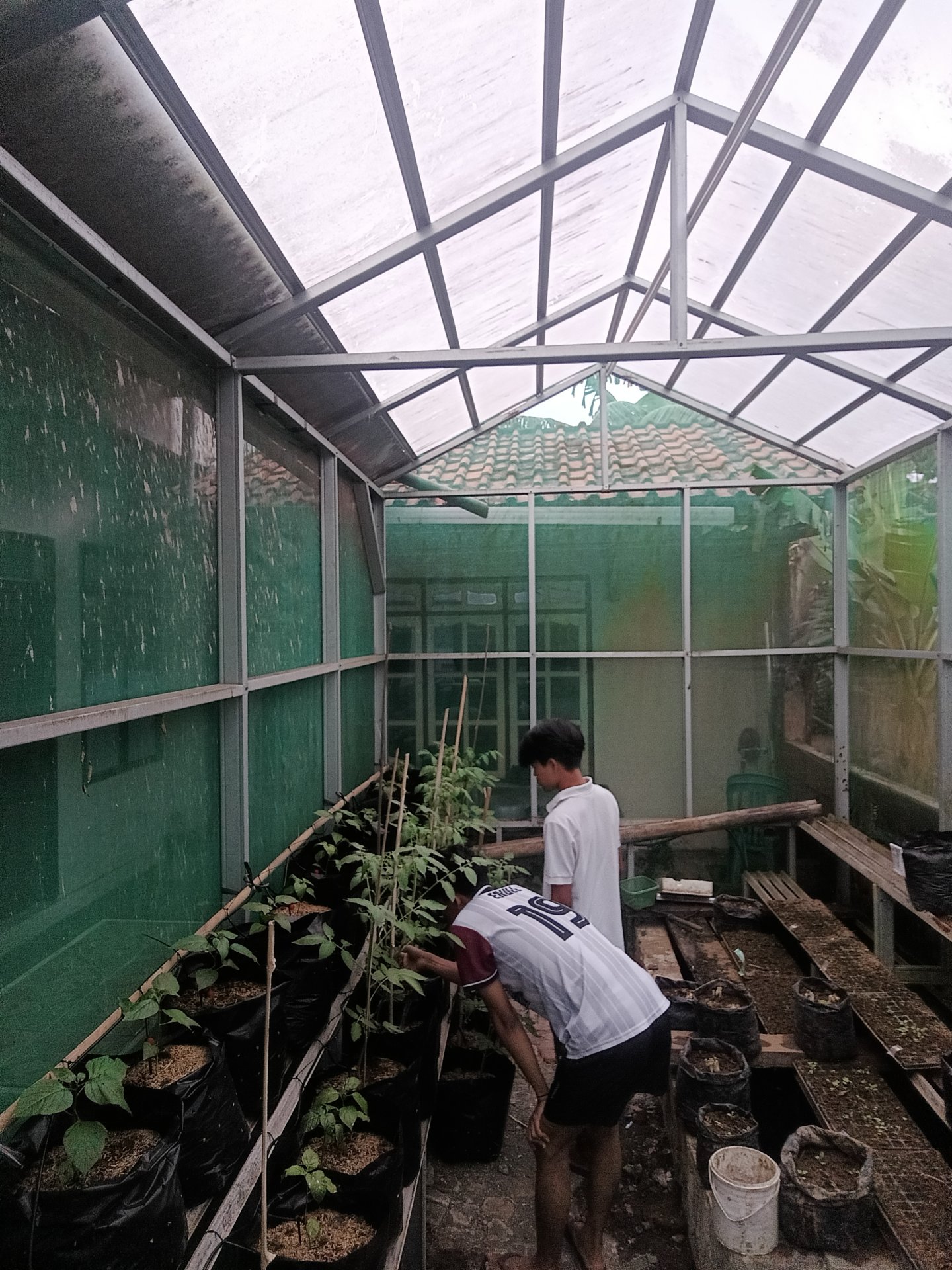 Kegiatan Hari Ke 31 | Demplot Pertanian