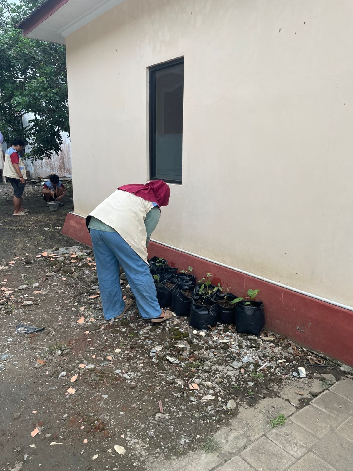 Monitoring Tanaman Cabai dan Terong
