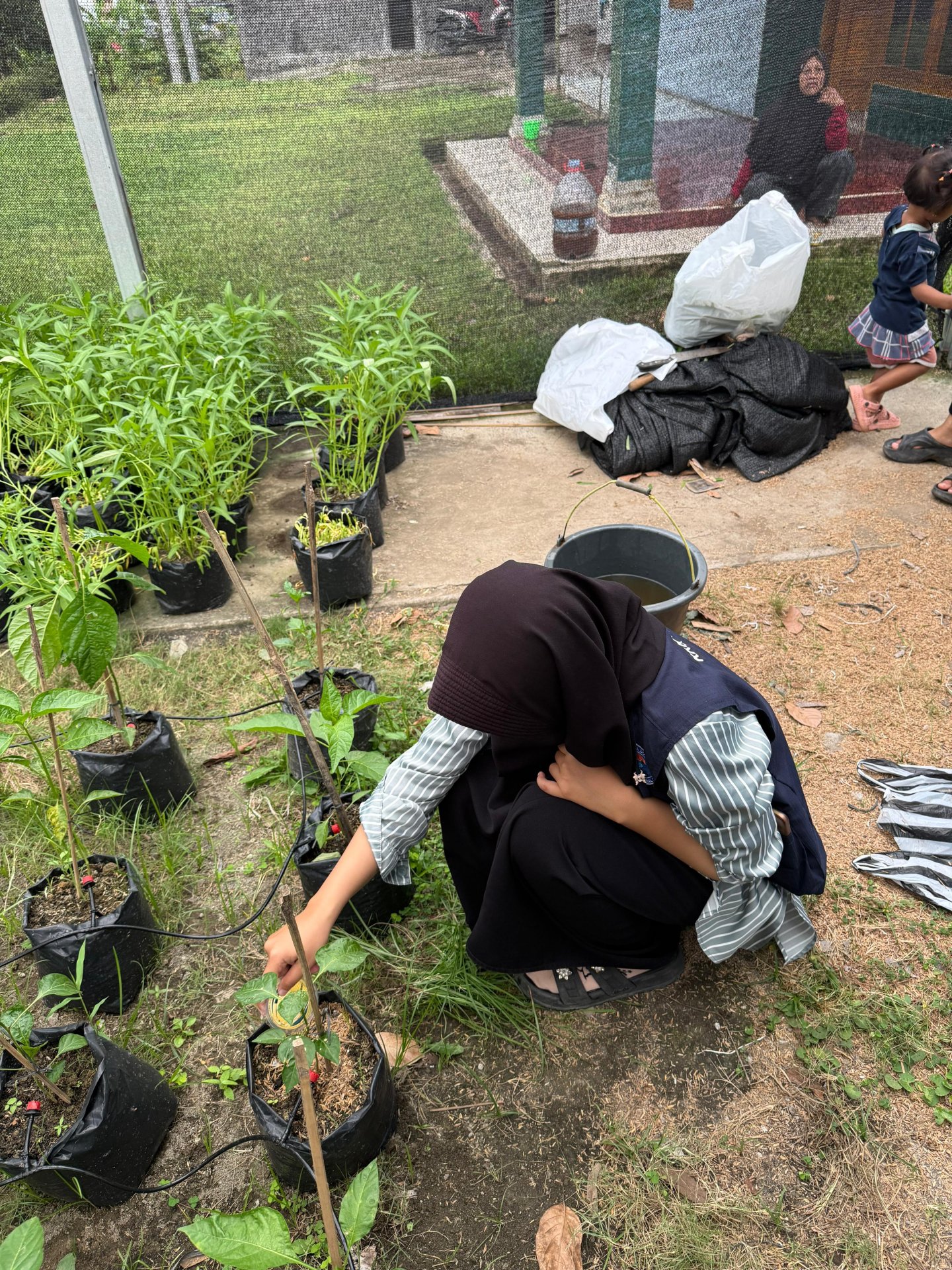 Intensifikasi Pekarangan