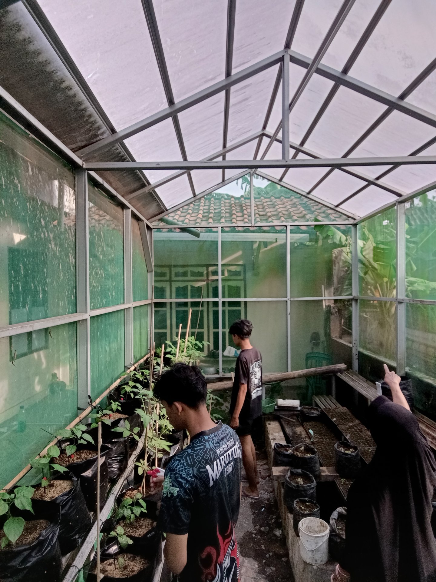 Kegiatan Hari Ke 32 | Demplot Pertanian