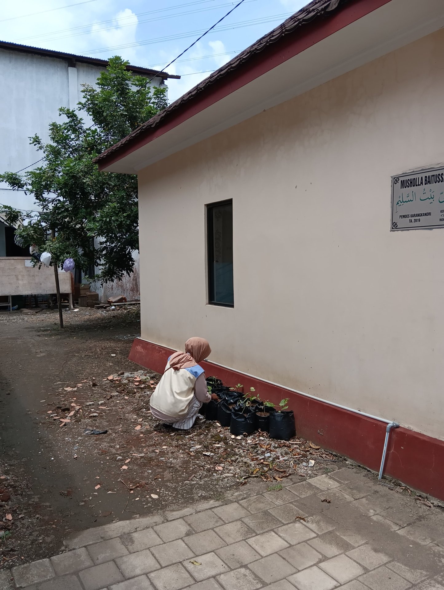 Monitoring Tanaman Cabai dan Terong