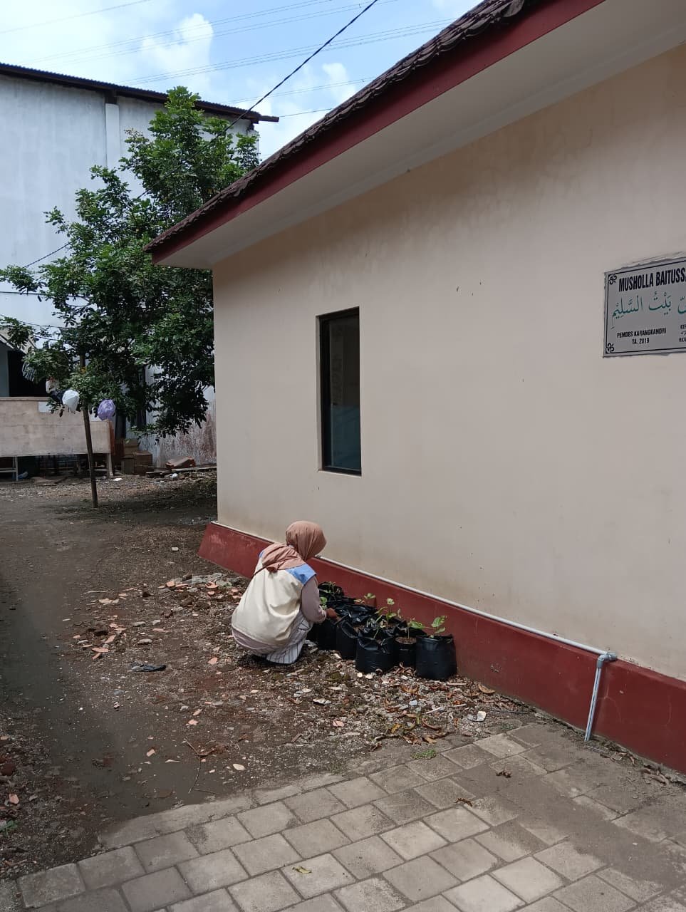 Monitoring Tanaman Cabai dan Terong