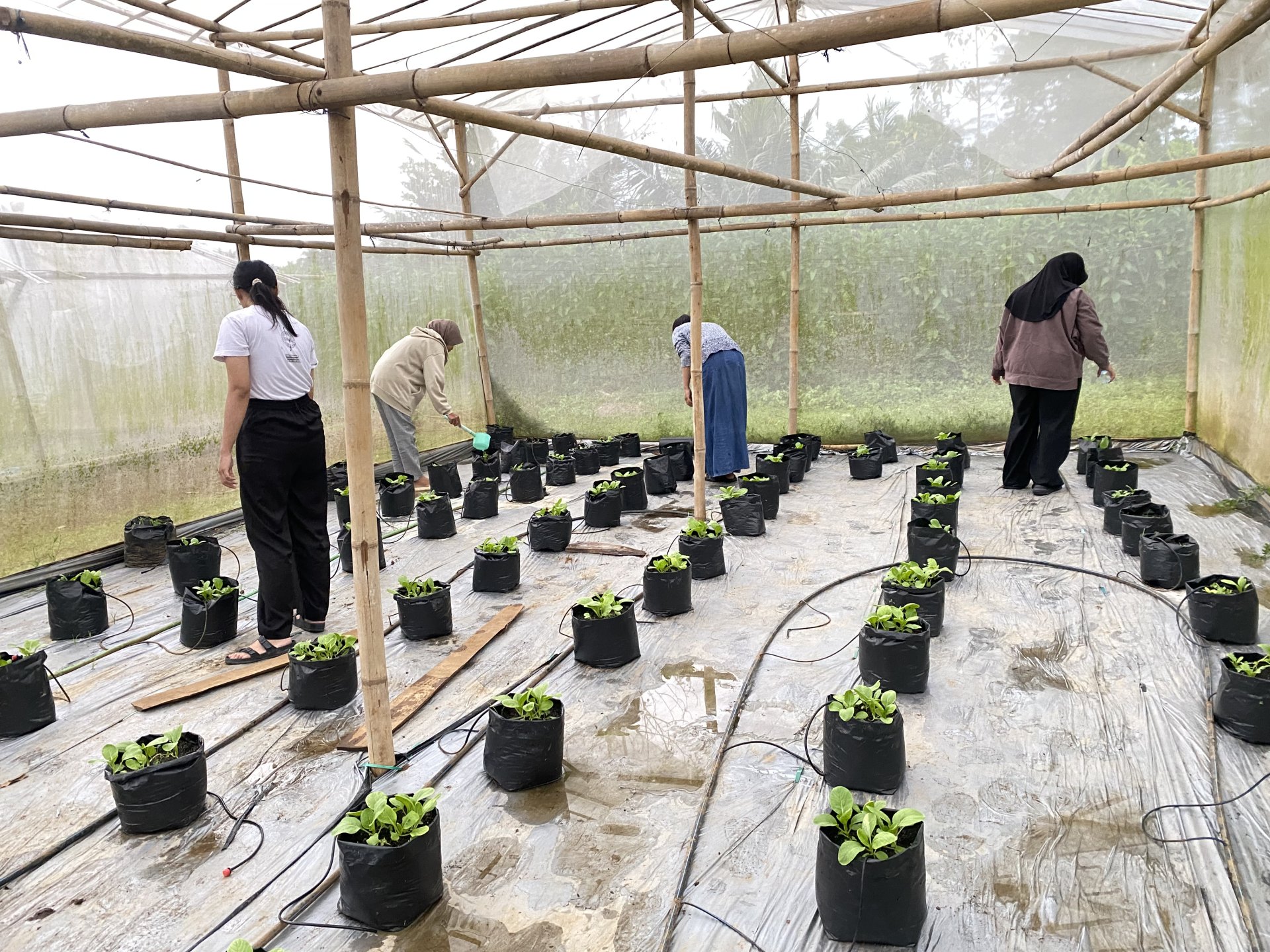 KEGIATAN KKN DESA PLANA HARI KE-32