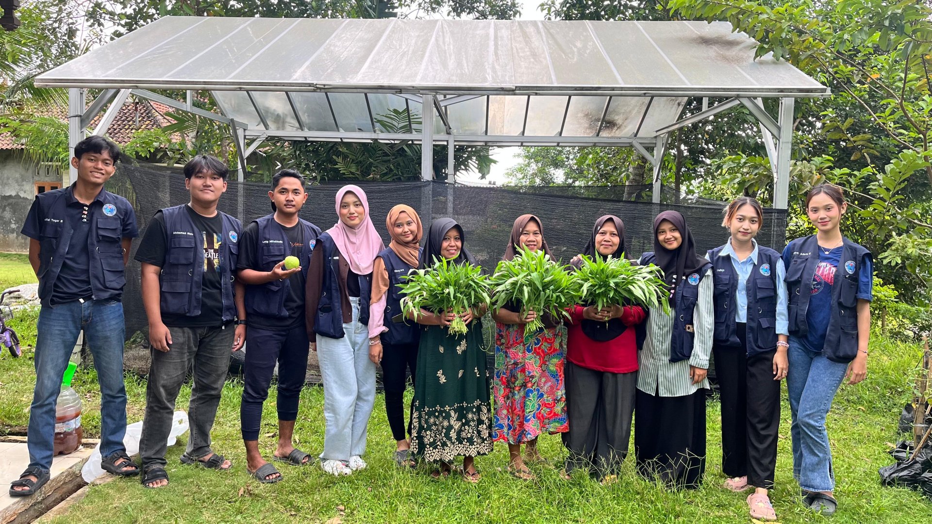Panen Sayur Kangkung