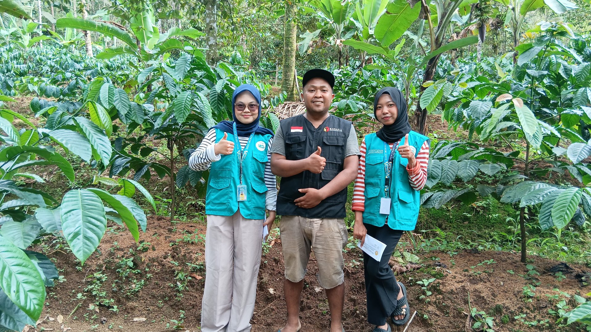 kunjungan kebun kopi