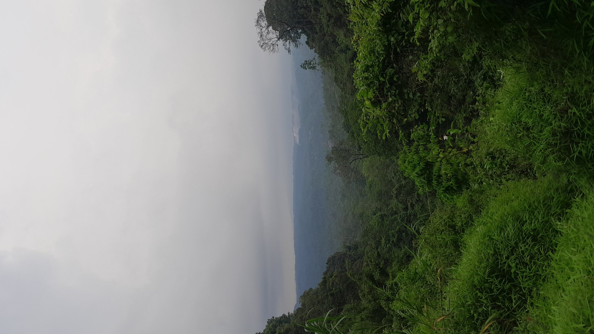 Hari ke Tiga Puluh Tiga