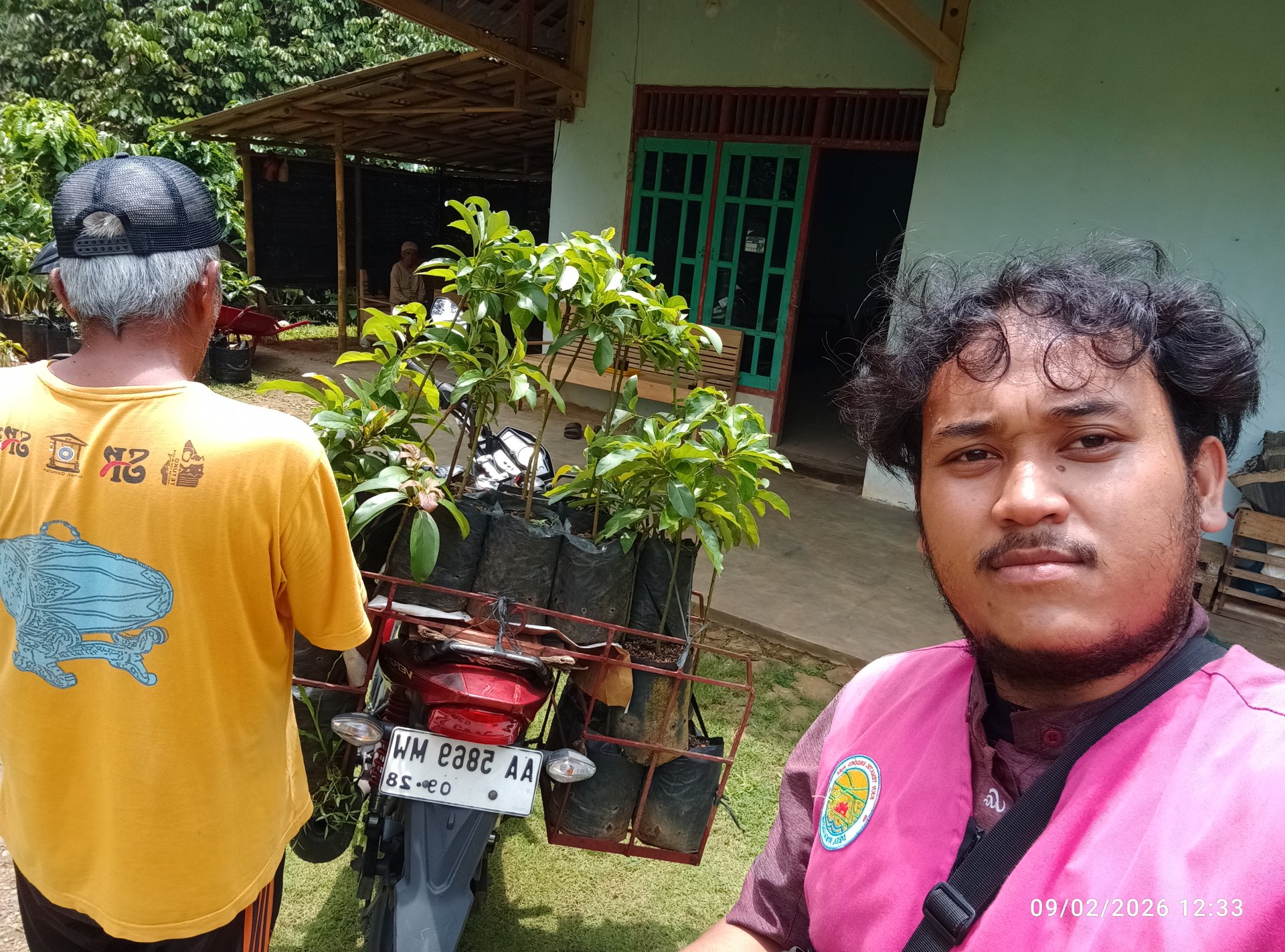 Pengambilan Bibit Alpukat sebagai kenang-kenangan