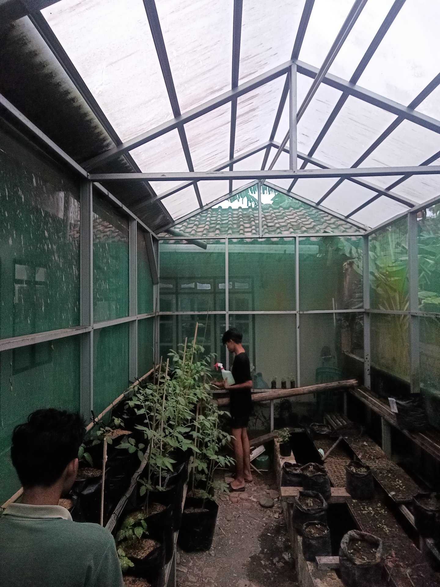 Kegiatan Hari Ke 33 | Demplot Pertanian