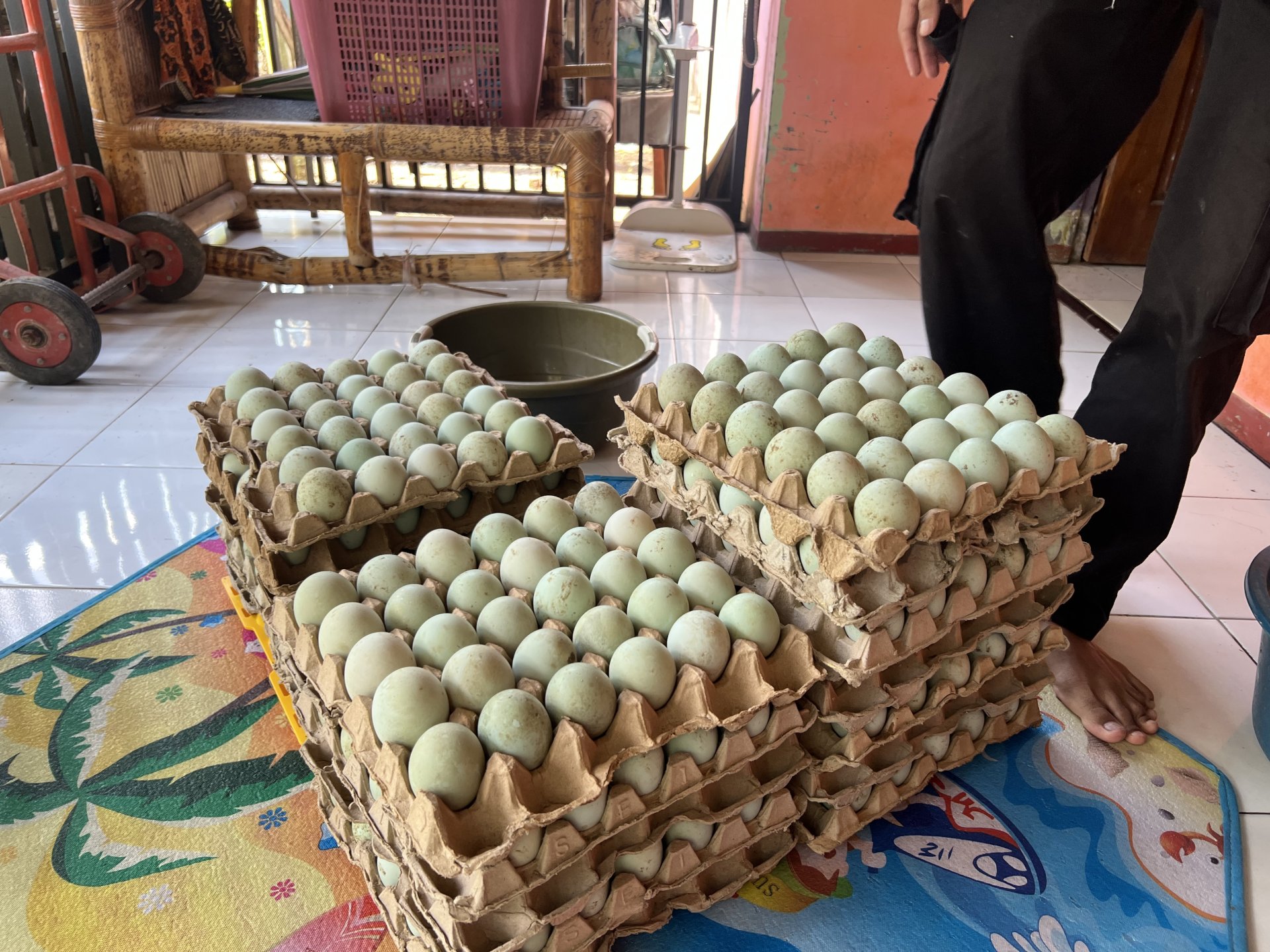 Membuat telur asin bersama