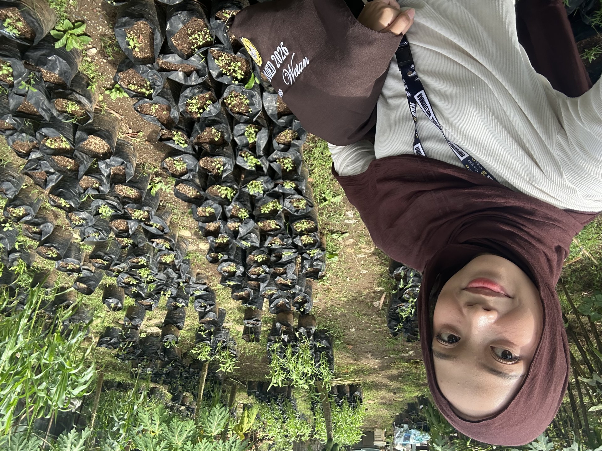 Monitoring Intensifikasi Pekarangan