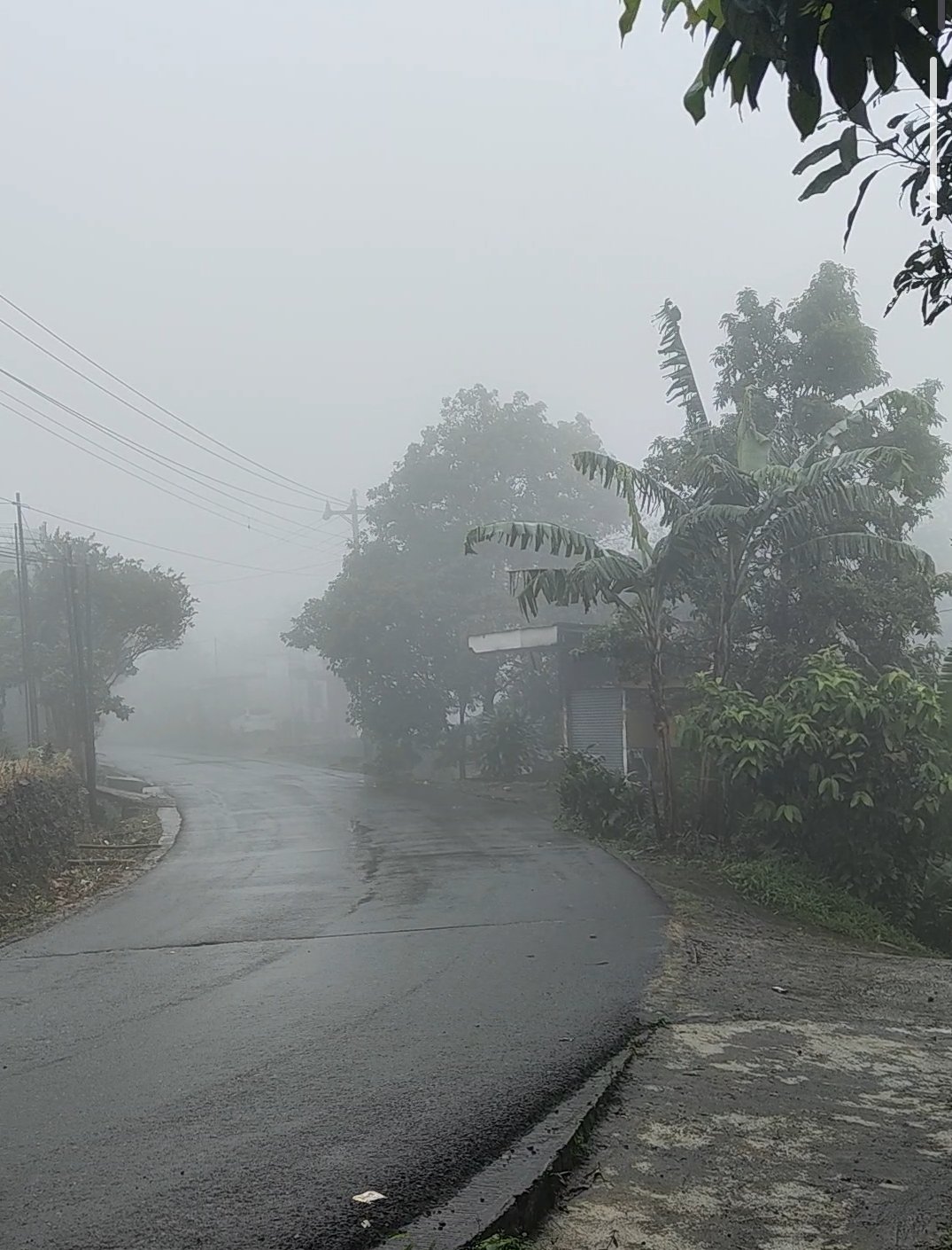 Menembus Kabut Siang Hari: Catatan Santai di Sudut Desa Badak (27 Januari 2026)