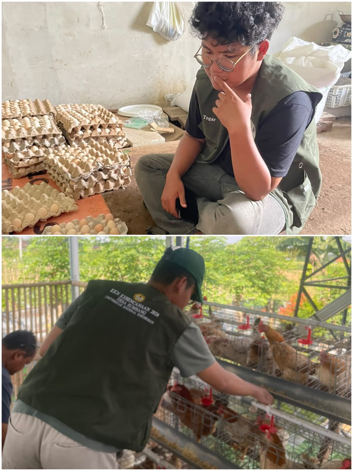 Kunjungan dan Observasi Unit Usaha Peternakan Ayam Petelur BUMDes Desa Sumbang