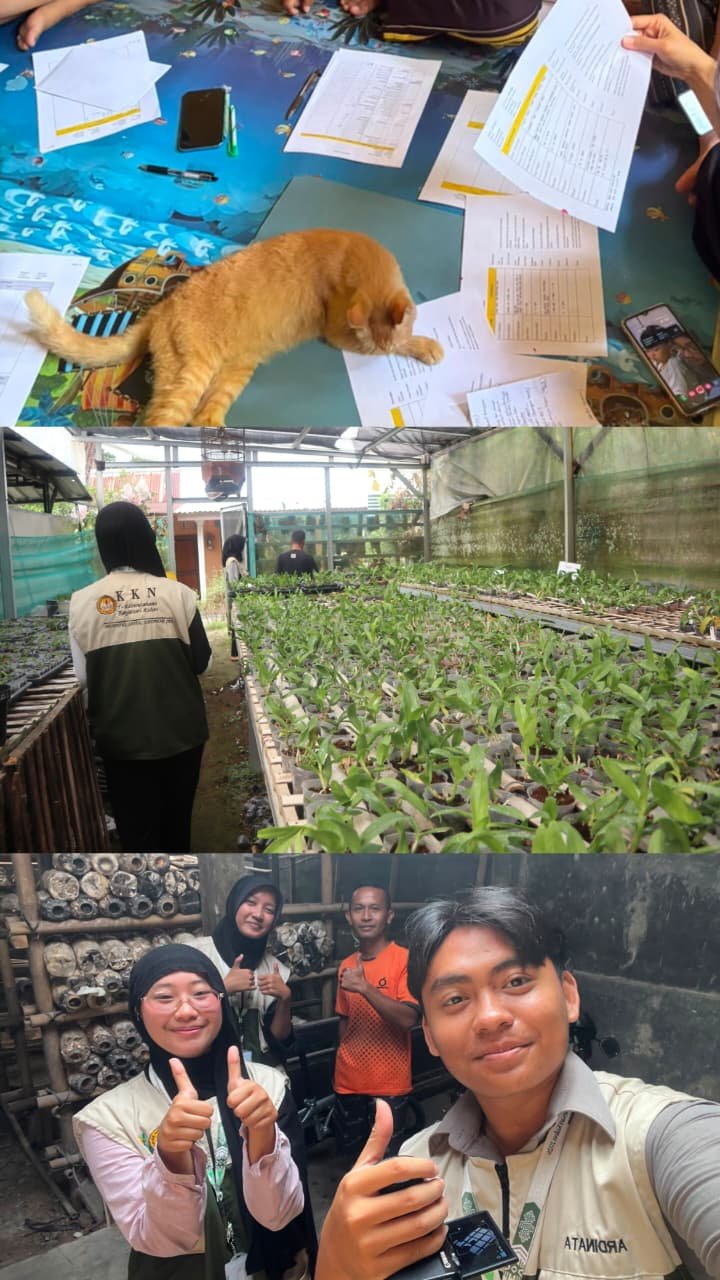 Wawancara UMKM Cilengko Orchid dan Jamur Tiram Berkah Makmur Sari Desa Banjarsari Kulon