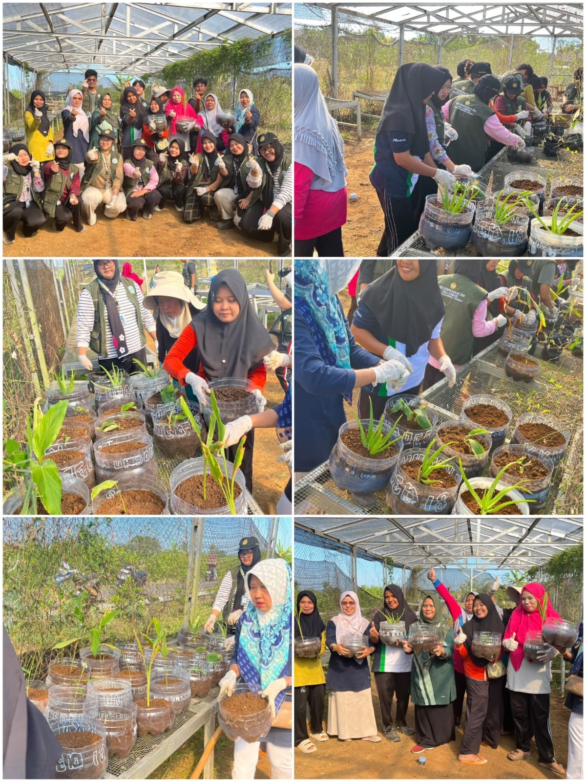 Sosialisasi dan Pembuatan Biopori, Pengolahan Sampah, serta Pembuatan Taman TOGA