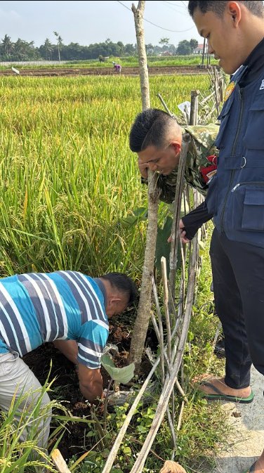 Penanaman Pohon Peneduh di Sepanjang Jalan Lembuayu (Desa Susukan) dan Pembagian Bibit Pohon Buah