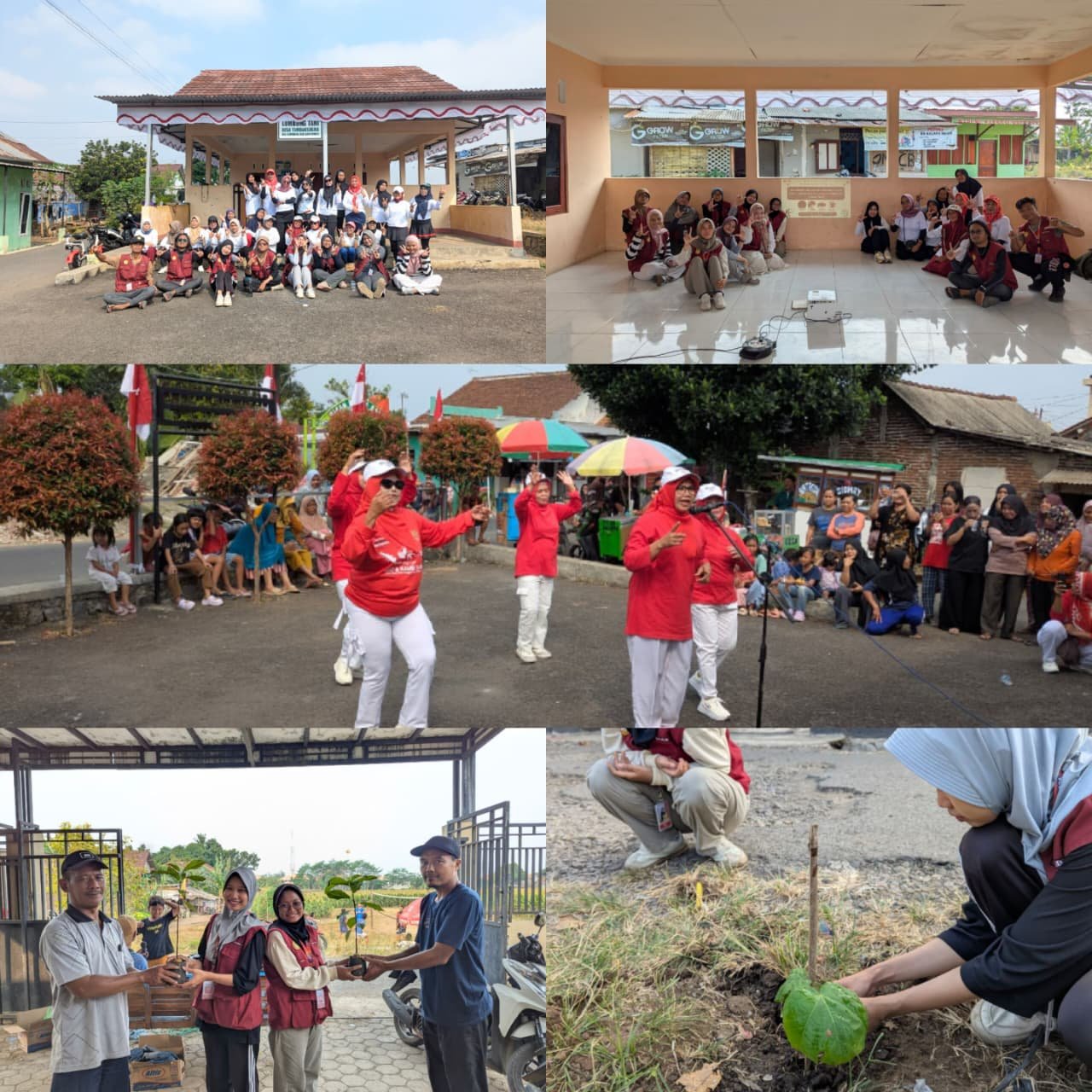 Senam Sehat, Edukasi Pencegahan Hama Permukiman, Pendampingan Lomba RW 2, dan Penanaman Pohon