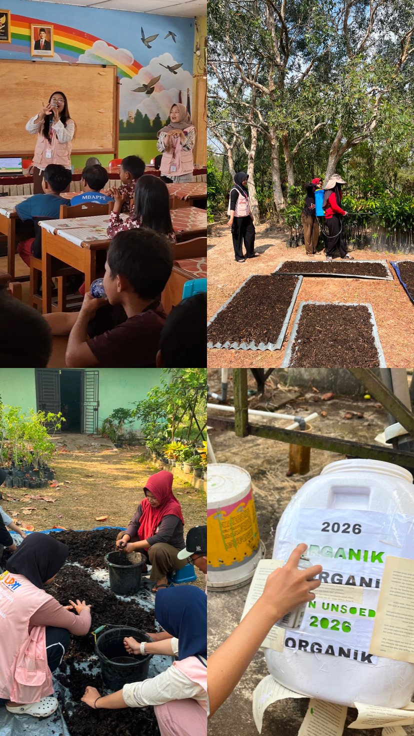 Day 25 Kelas Lentera, Penjemuran dan Pencacahan Pupuk Eceng Gondok (Tahap Finalisasi), dan Pembuatan Sketsa Motif Tempat Sampah Edukatif (EcoBin)