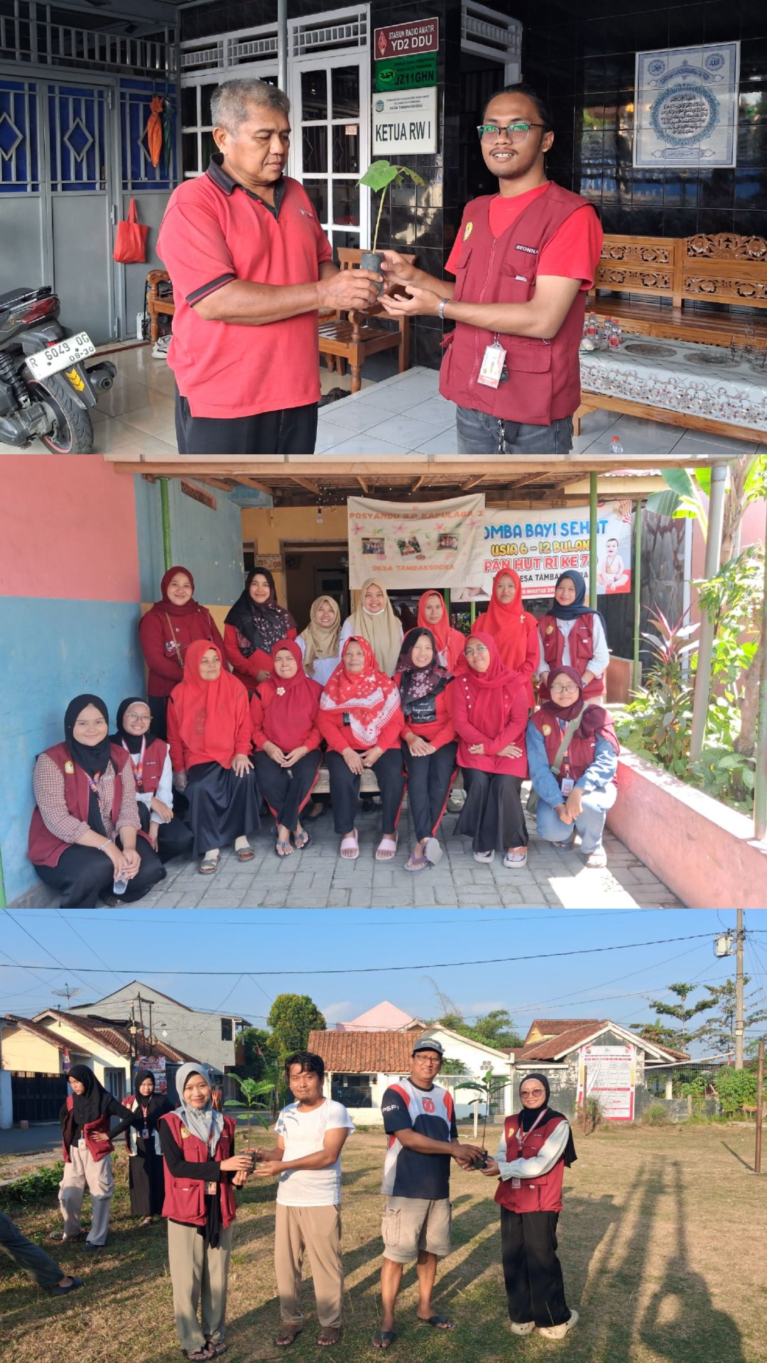 Pendampingan Posyandu Balita dan Lansia serta Penanaman Pohon di RW 1 dan RW 6