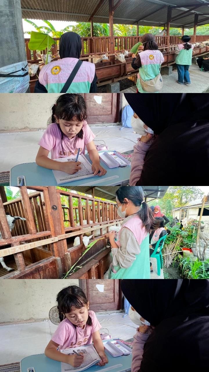 Hari Ke-28: Pendampingan Bimbingan Belajar dan Kunjungan BUMDes Peternakan Kambing Saanen Desa Karangpucung
