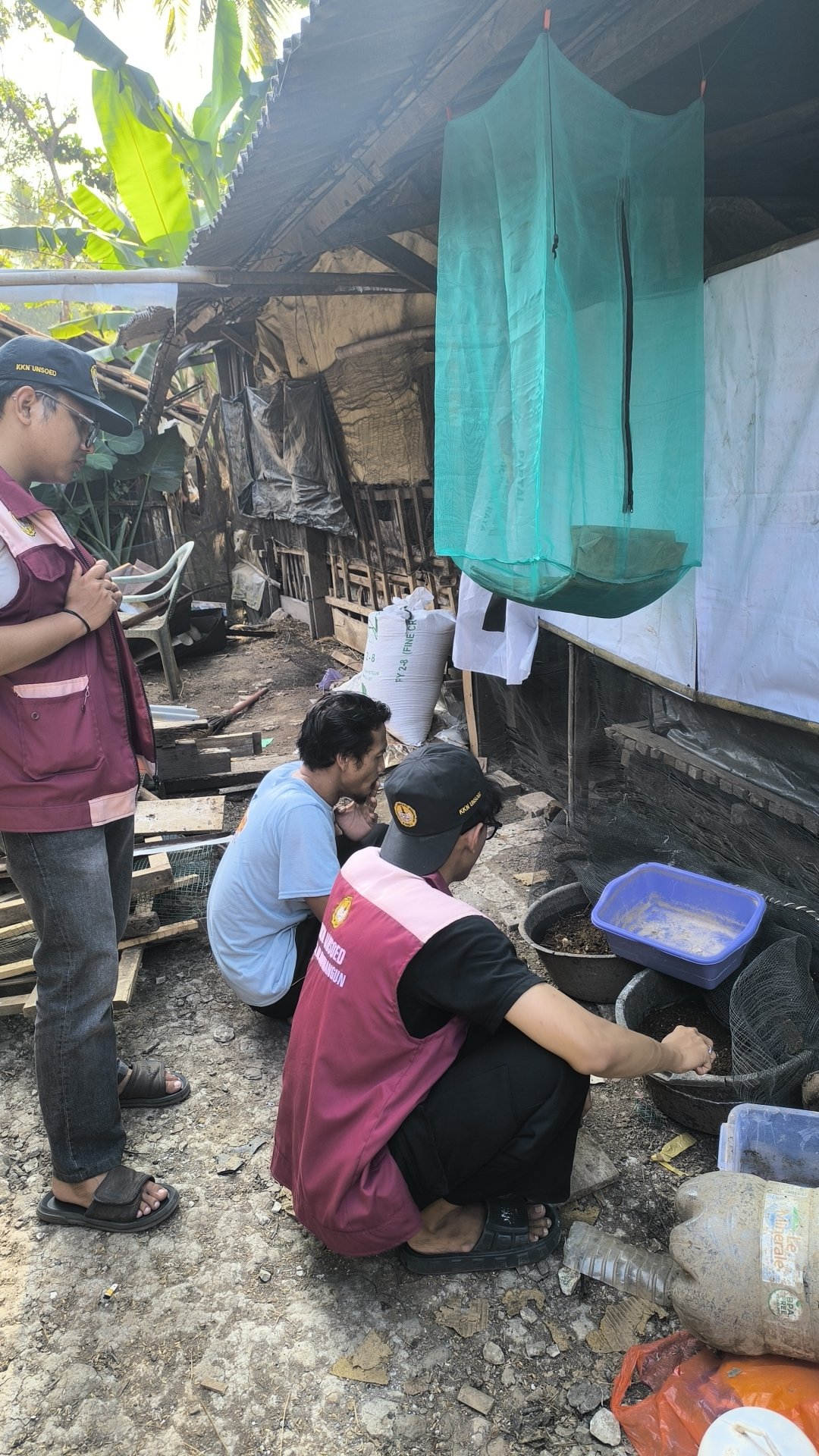 Monitoring dan Evaluasi Pupuk Organik Cair dan Budidaya Maggot