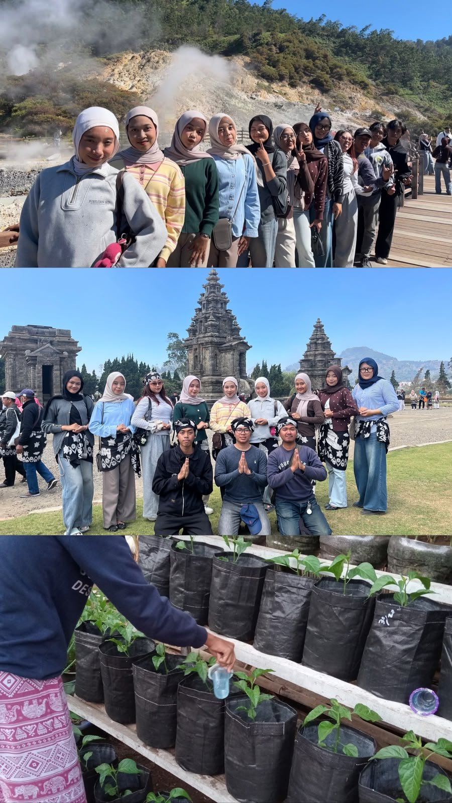 Pelaksanaan Program Kerja Harian