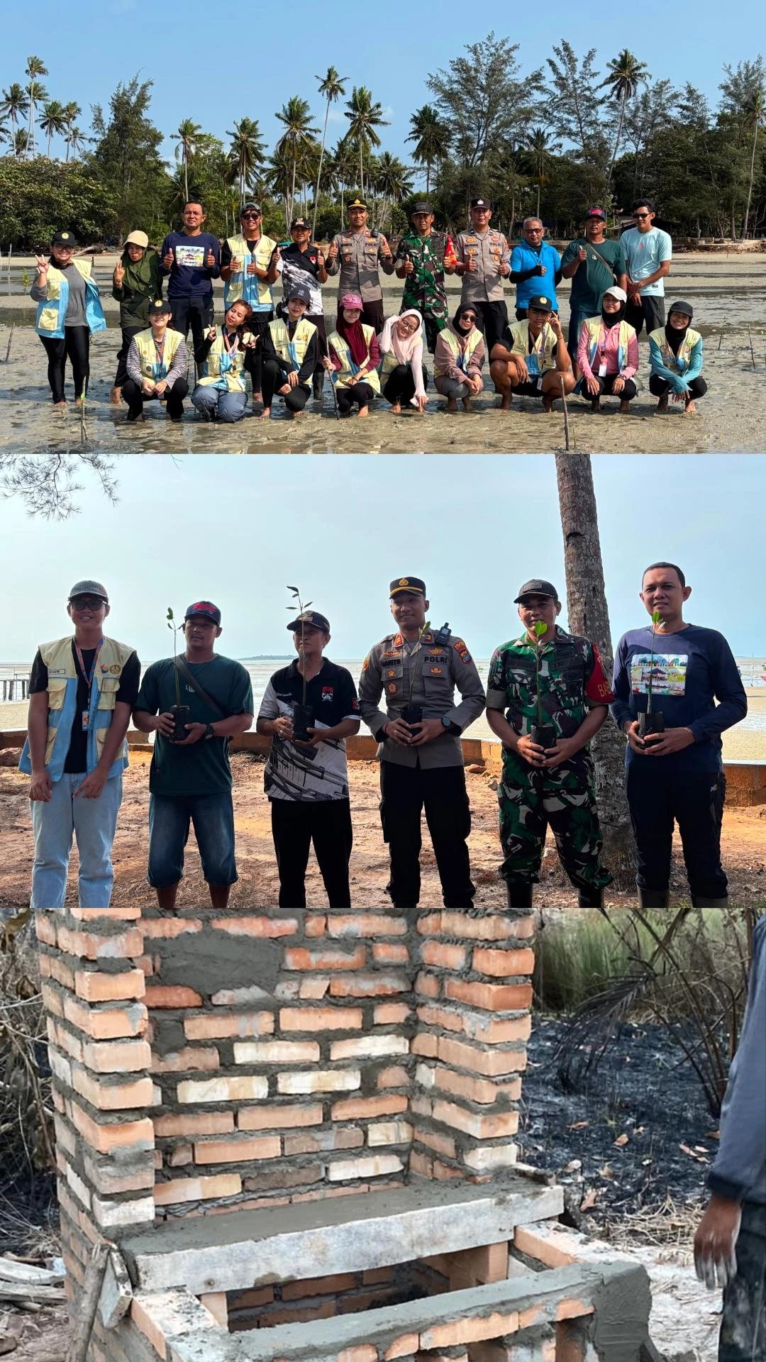 Penanaman dan Penyulaman Bibit Mangrove