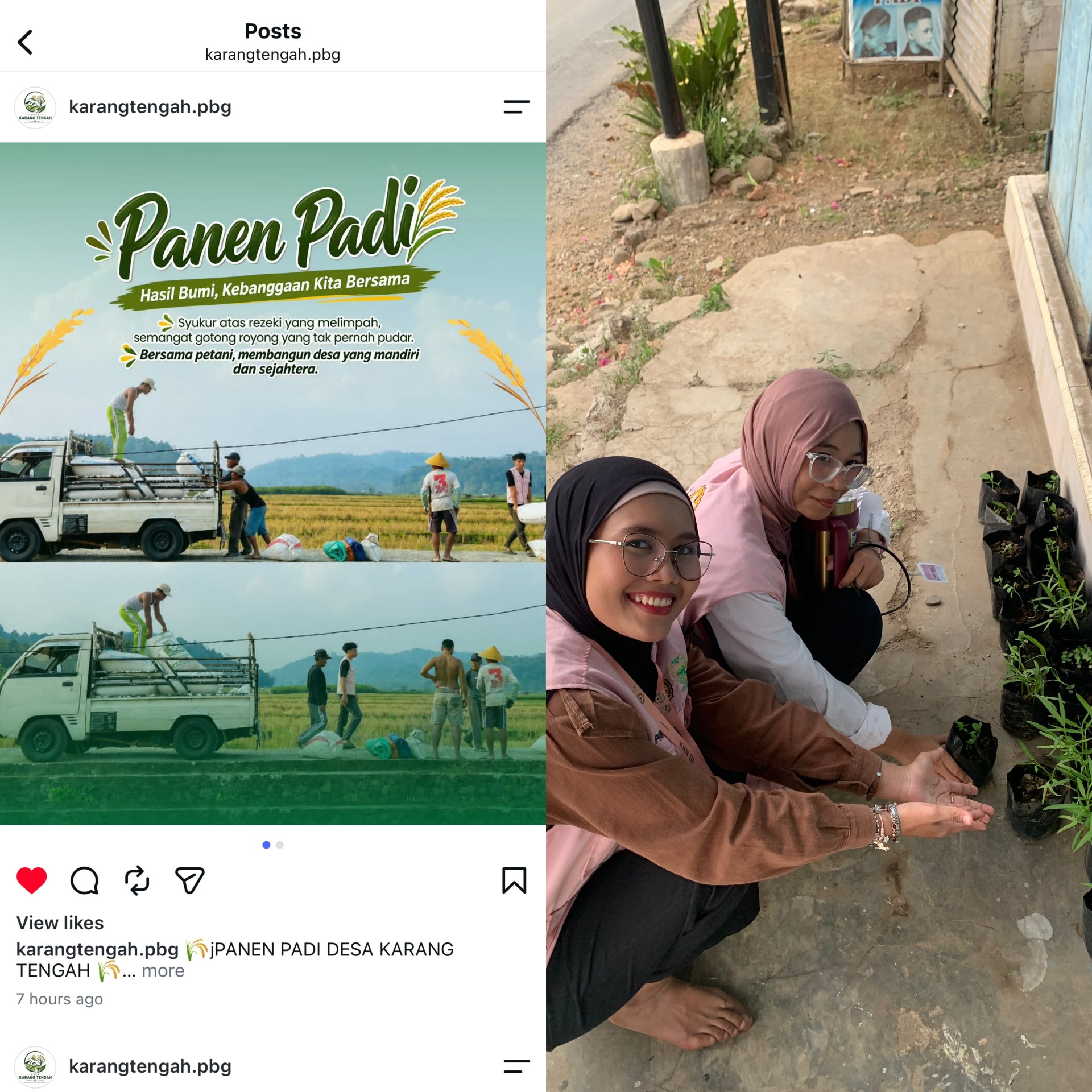 Pelaksanaan Kegiatan Monitoring Tanaman dan Media Sosial Desa