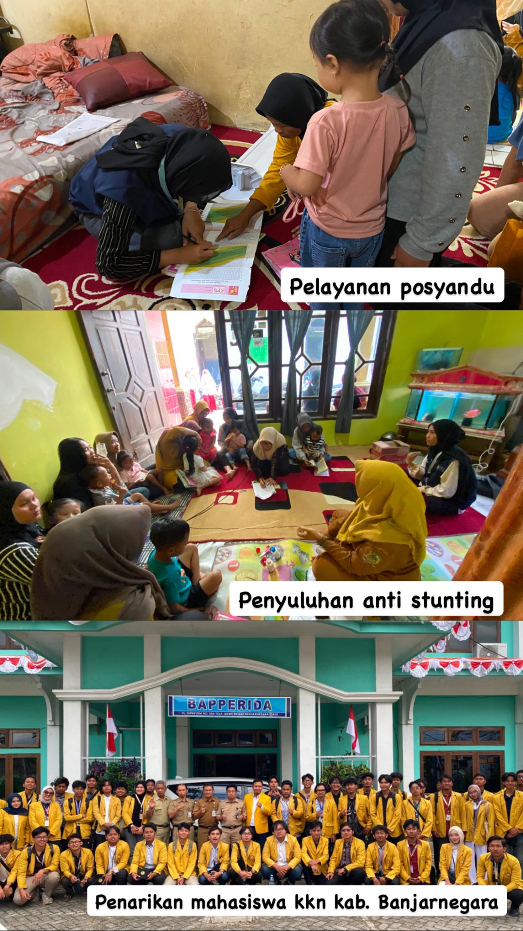 Pelayanan posyandu, penyuluhany anti stunting, penarikan mahasiswa KKN Kab Banjarnegara