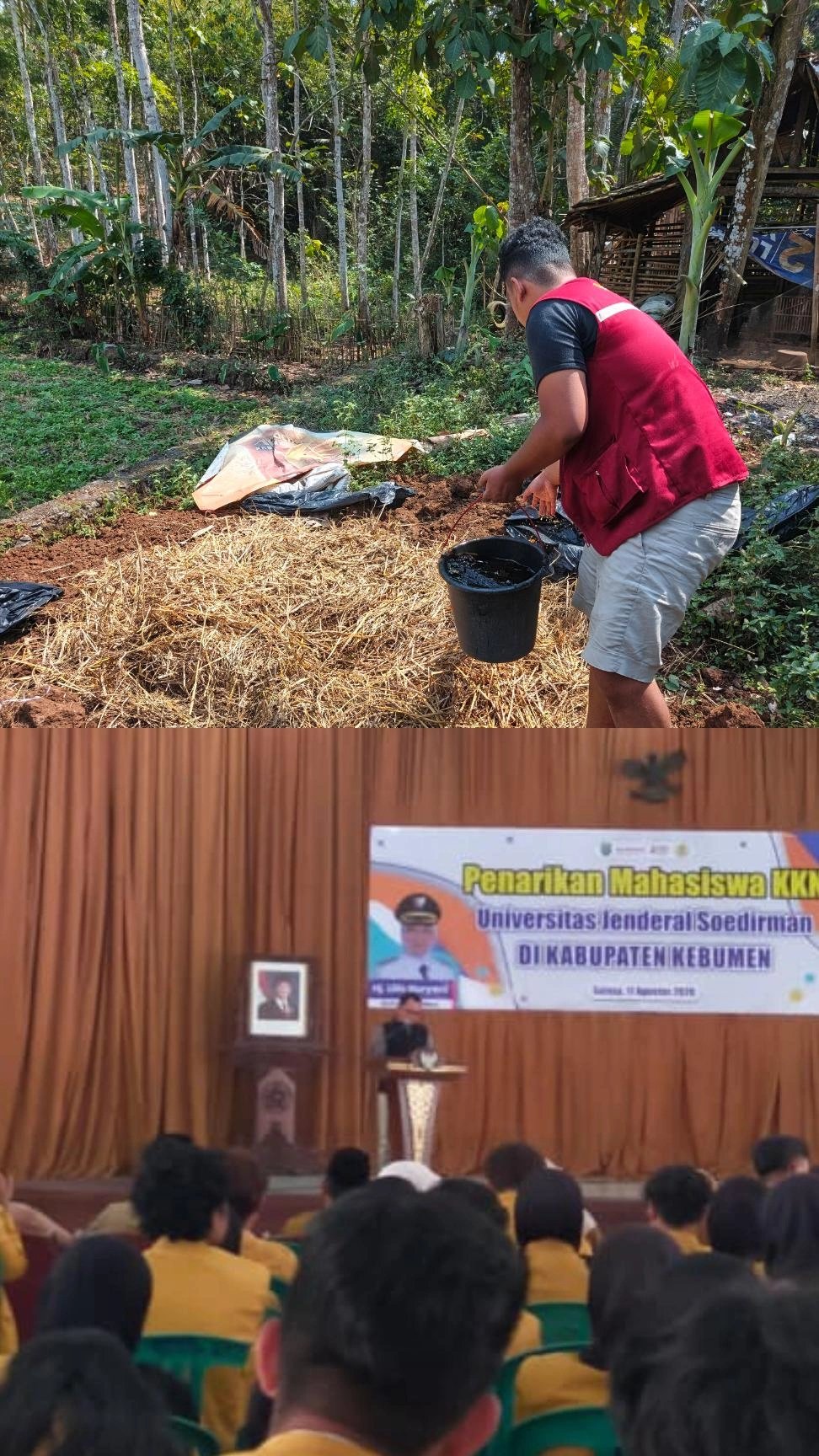 Penarikan Mahasiswa KKN Universitas Jenderal Soedirman di Kabupaten Kebumen dan Pembalikan Kompos Jerami Padi dan Penambahan Larutan Aktivator untuk Mengoptimalkan Proses Pengomposan