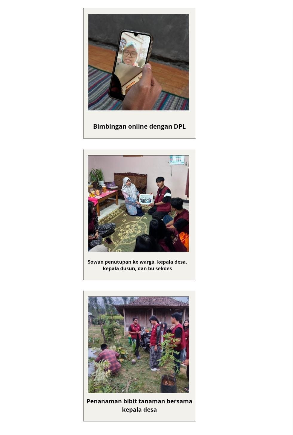 Rangkaian Kegiatan Akhir KKN: Bimbingan, Penanaman Bibit, dan Pamitan